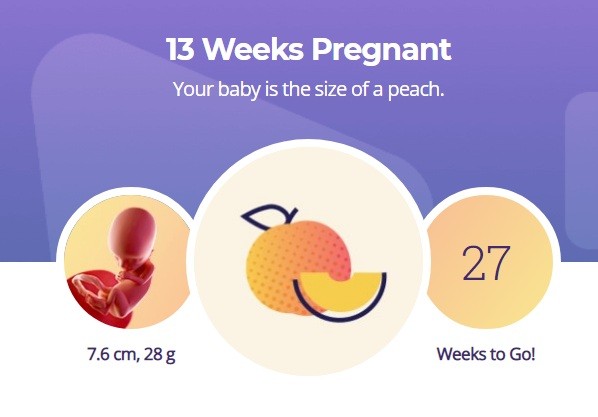 13 week pregnancy