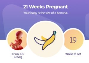 21 week pregnancy