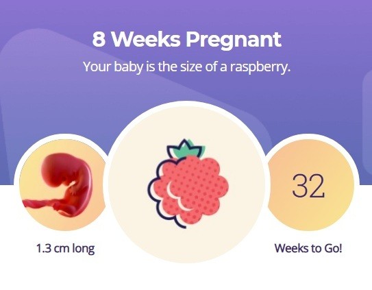 8 week of pregnancy