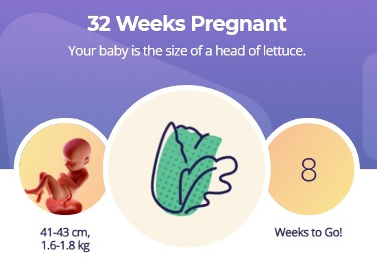 32 week pregnancy