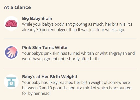 39 week pregnancy