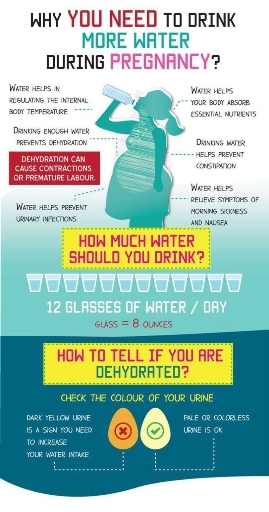 HOW MUCH WATER TO DRINK DURING PREGNANCY