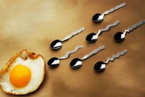 INTERESTING FACTS ABOUT SPERMATOZOONS